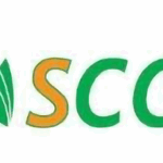 logo_scc